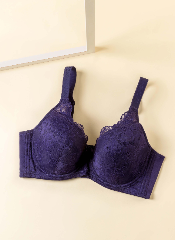 Sheen Lace 2 Full Cup Bra S11-29891