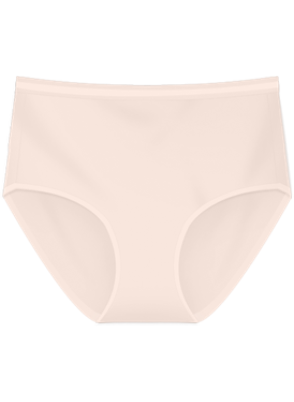 Flossy Briefs Maxi Panty / Seluar Dalam Flossy Maxi S20-073239