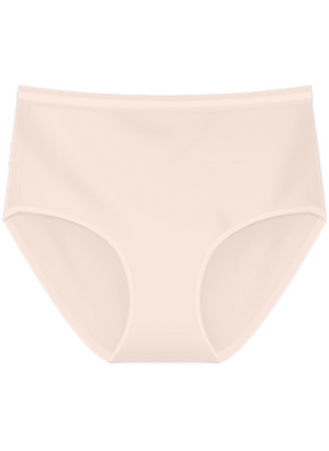 Flossy Briefs Maxi Panty / Seluar Dalam Flossy Maxi S20-073239