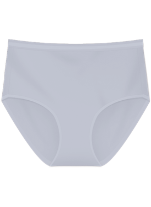 Flossy Briefs Maxi Panty / Seluar Dalam Flossy Maxi S20-073239