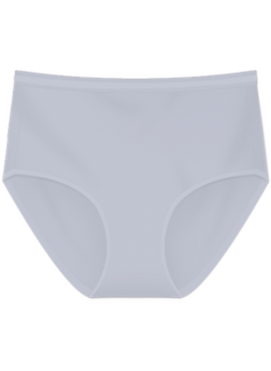 Flossy Briefs Maxi Panty / Seluar Dalam Flossy Maxi S20-073239