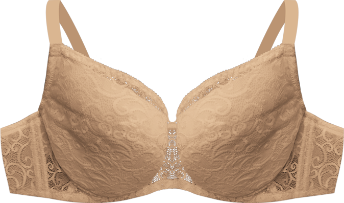 Be Beauty Full Cup Underwired Soft Padded Bra S11-29803 (Plus Size Design)
