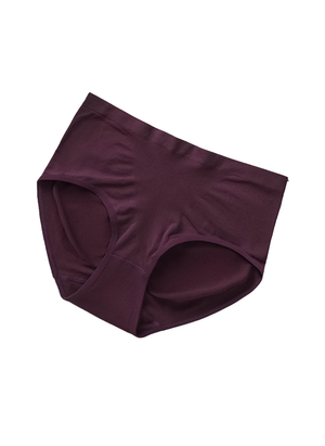 Comfort Perfection Basic Midi Panty S20-051048