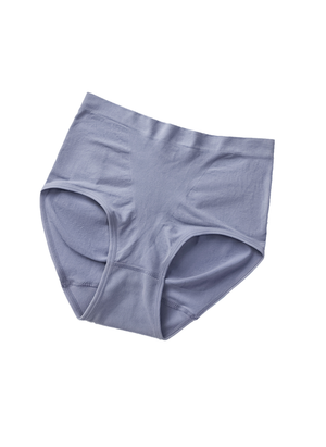 Comfort Perfection Basic Maxi Panty S20-051049